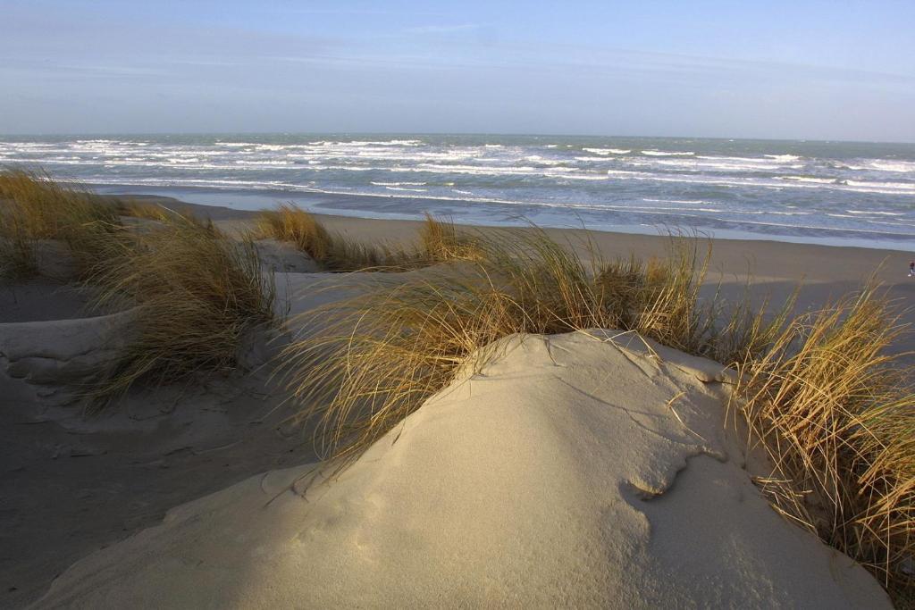 Logis Auberge De La Dune - Hotel & Restaurant Le Crotoy Eksteriør bilde